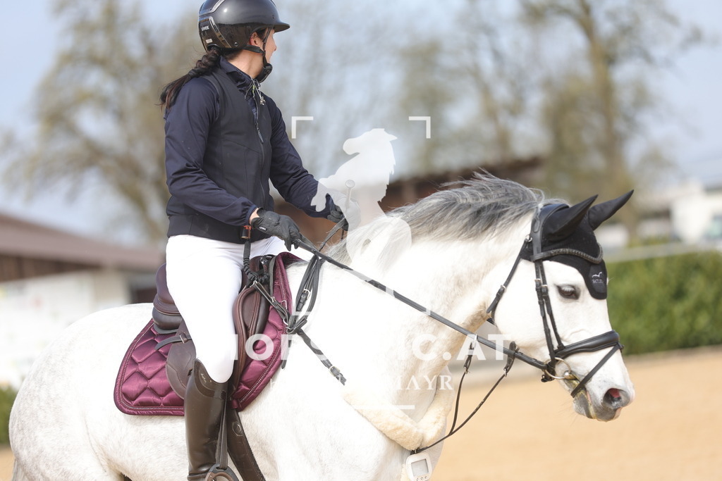 0P6A9417 | Willkommen bei Brunnmayr - Design & Fotografie – Ihrem Spezialisten für Reitturniere und Pferdeveranstaltungen in Oberösterreich, Salzburg und Bayern! Seit über 17 Jahren sind wir leidenschaftlich dabei.