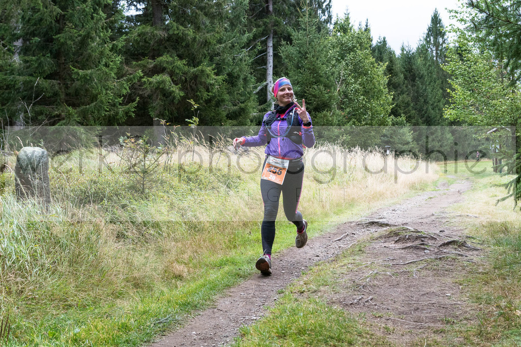Herbstlauf | Neuhaus/Rwg. - Masserberg am 3. Oktober 2020