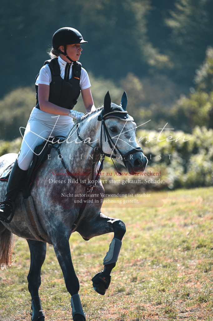 DSC_7846 | Pferde- und Turnierfotografie in Westsachsen. Pferdeportraits, Auftragszeichnungen und intuitive Kunst.