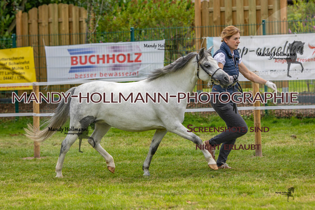 IG WELSH VM 2024-464 | mandyhollmannphotographie