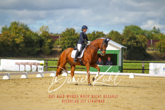 DKP44111 | Turniersportfotografie; Pferdefotografie; Dressurfotografie