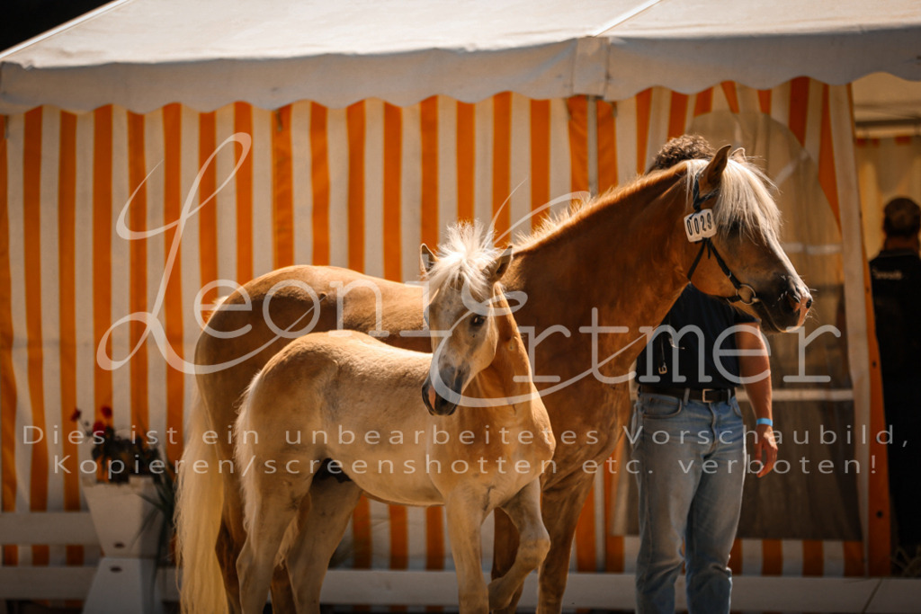 06.DoH00062 | Leoni Ertmer Photography - Realisiert mit Pictrs.com