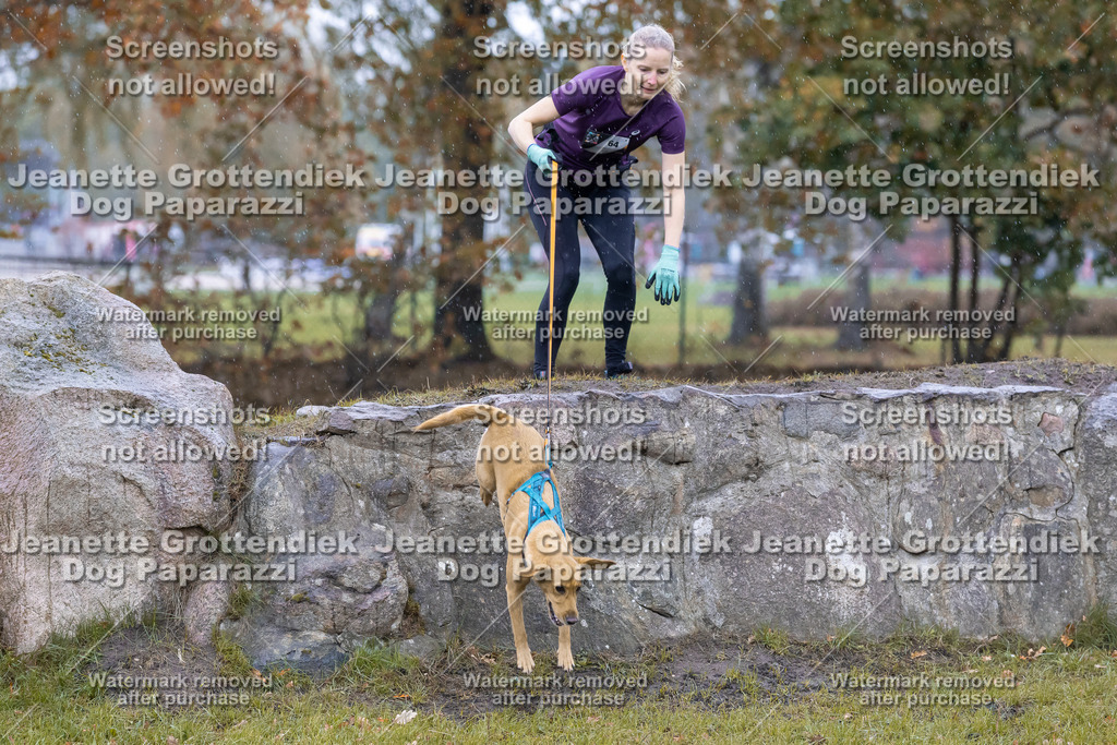 Dog Paparazzi - SD CaniX Championship 2025-707 | Dog Paparazzi Jeanette Grottendiek Fotografie & Videografie - Realisiert mit Pictrs.com