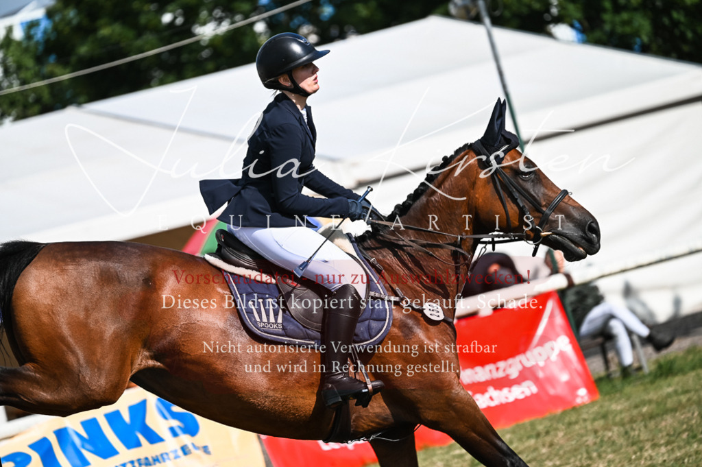 DSC_7854 | Pferde- und Turnierfotografie in Westsachsen. Pferdeportraits, Auftragszeichnungen und intuitive Kunst.