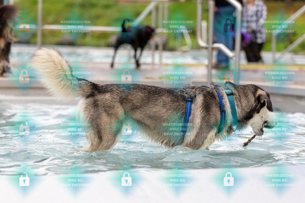 _HP_6183_1000o | HetPix, HetPix Fotodesign, Fotografie, Fotodesign, Webshop, Sportfotografie, Portraitfotografie, Onlineshop, Sportfotografie, Polch, Motorsportfotografie, Eventfotografie