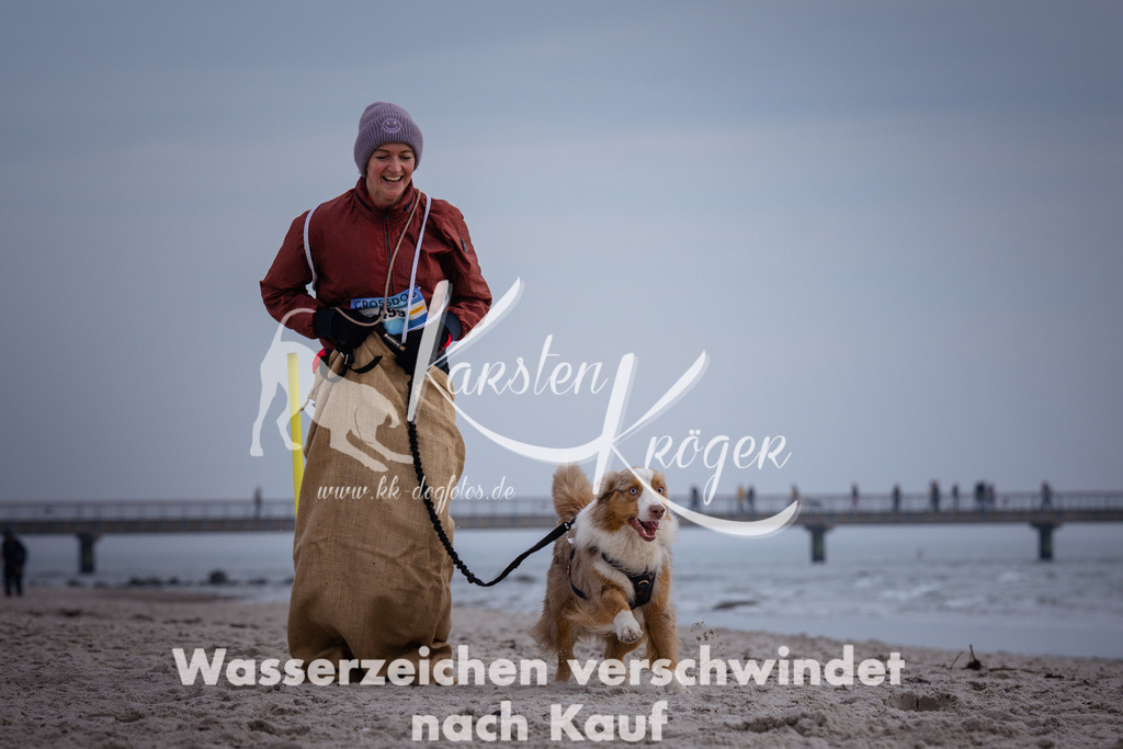 1146_ZZ90540 | kk-dogfotos
