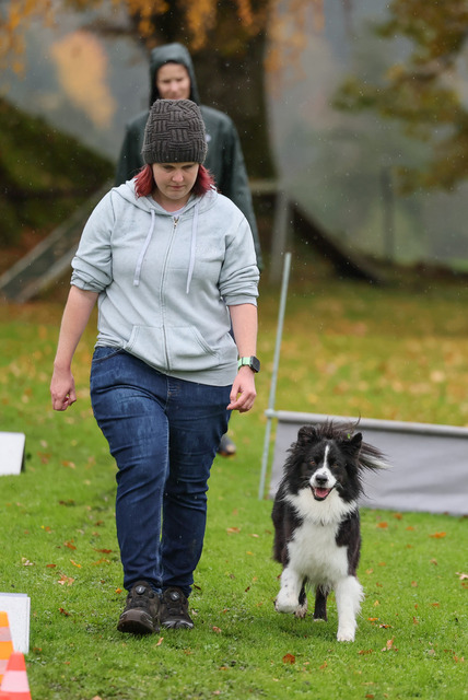 2025_Rally_Obedience_SM-33 | Ich fotografiere Hundeausstellungen, Sportanlässe, Zuchtstätten, Hundezucht, Hundeportrait, Lagotto - Realisiert mit Pictrs.com