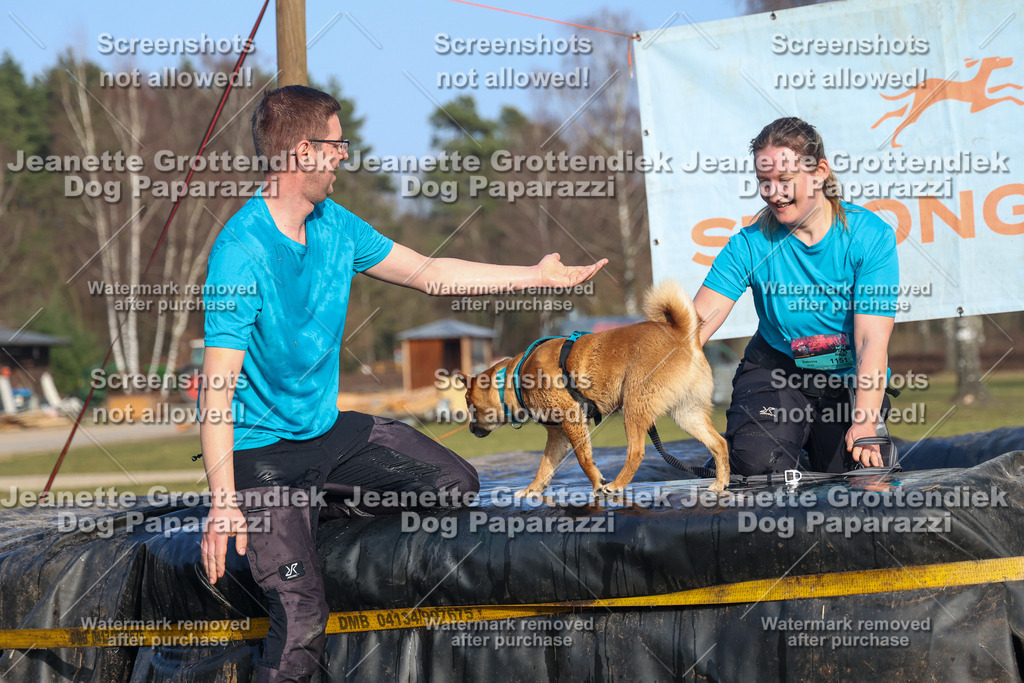 Dog Paparazzi - Strongdog North Mrz26-3576 | Dog Paparazzi Jeanette Grottendiek Fotografie & Videografie - Realisiert mit Pictrs.com