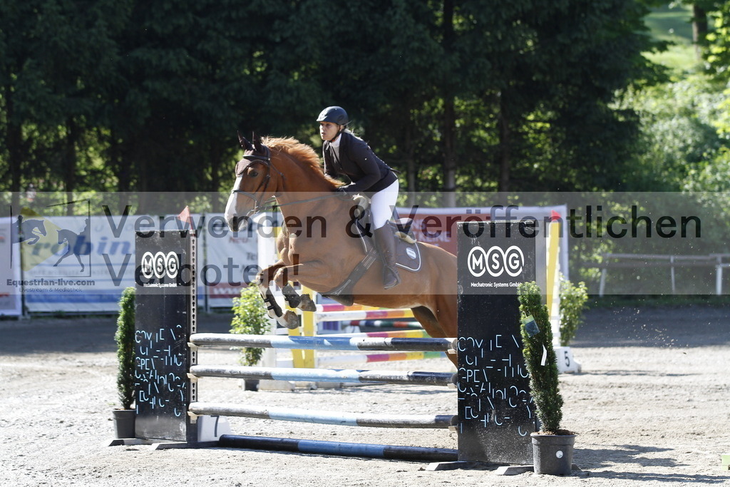 _MG_1366 | equestrian-live-com