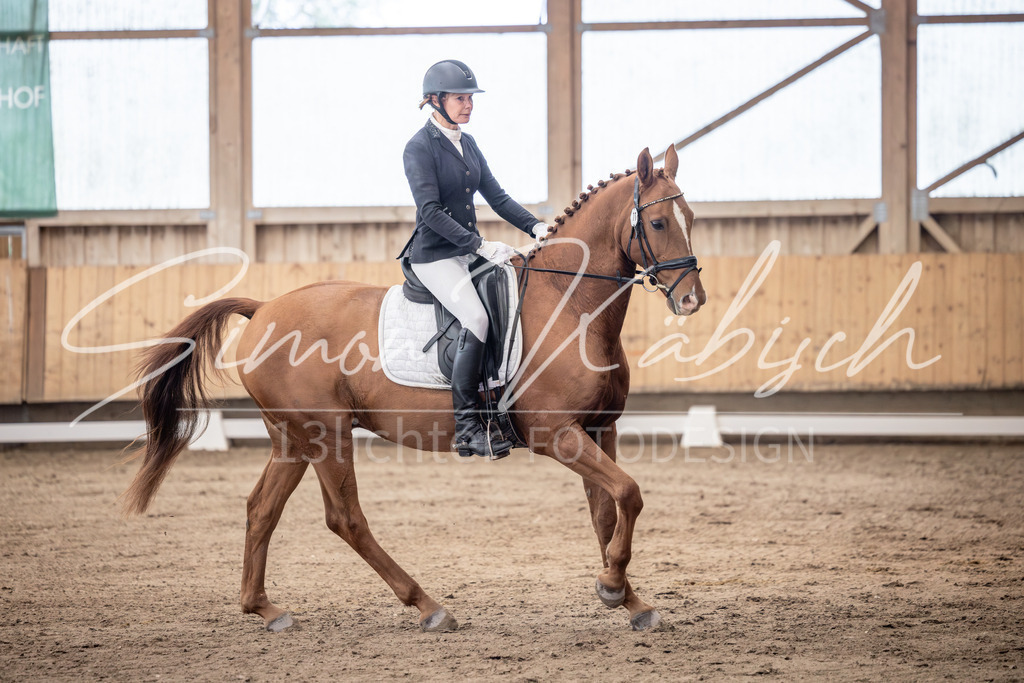 20251011-_3LI1350 | Tierfotografie Pferde, Hunde, Katzen, Haustiere.
Turnierfotografie Reitturniere, Reiten, Springreiten, Dressur in Hanau, dem Main-Kinzig-Kreis und dem Rhein-Main- Gebiet um Frankfurt