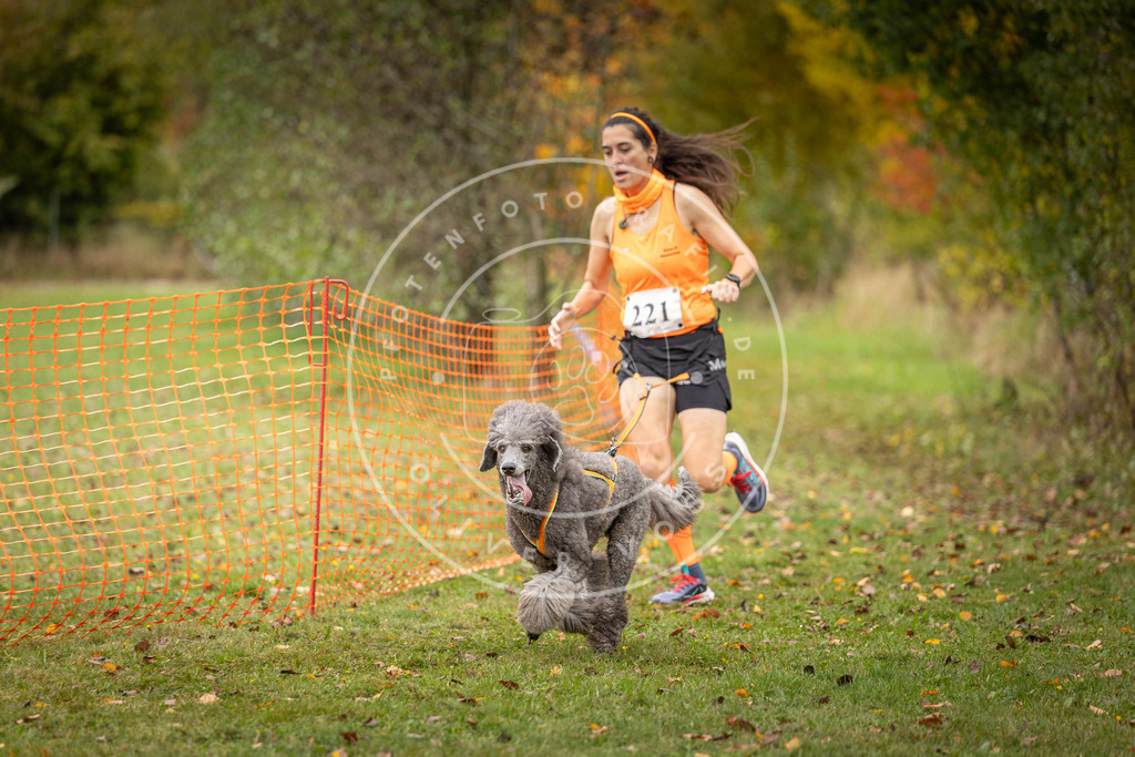 Pfotenfotografie_DV3A4812 | Hundefotografie, Tierfotograf, Pfotenfotografie, Fotoshooting Hund, Hunde Portrait, Hundesport, Hundeportraits, Heideshooting, Hunde, Sportfotograf, Hundefotograf, Turnierhundsport, THS,  - Realisiert mit Pictrs.com