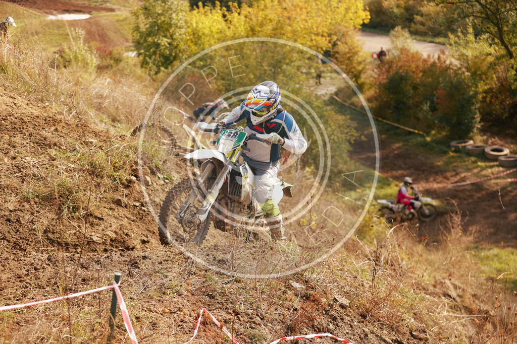 IgeLauf4-783 | koppe-media