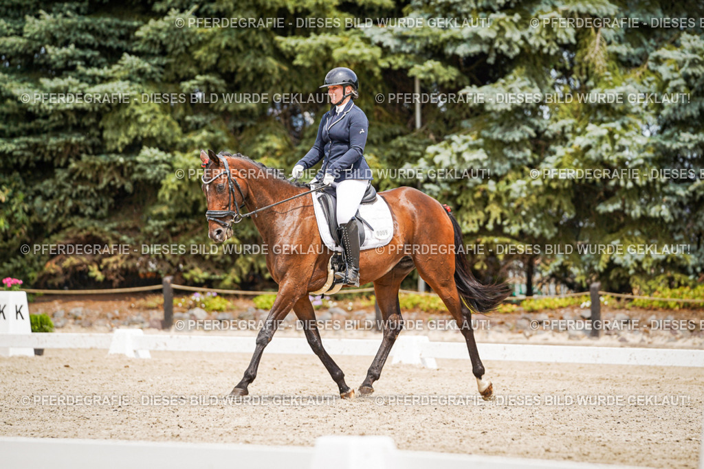 DSC04028 | Pferdegrafie