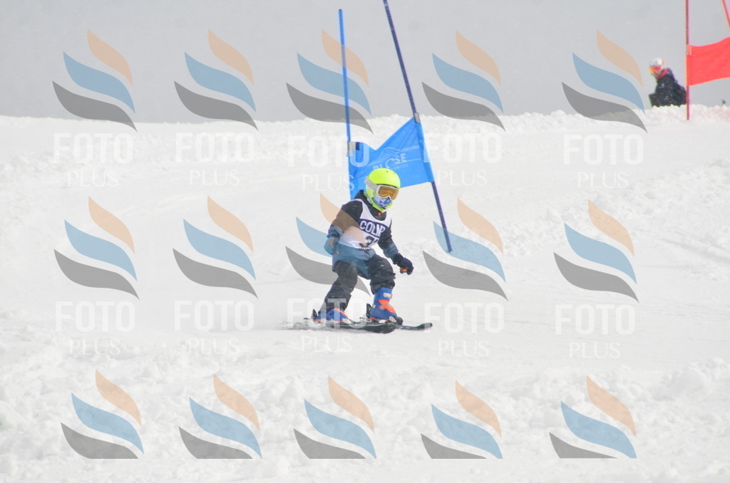 A5243 | holidayphoto