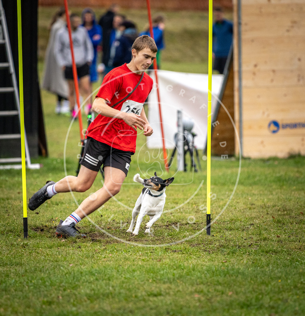 Pfotenfotografie_DV3A0733 | Hundefotografie, Tierfotograf, Pfotenfotografie, Fotoshooting Hund, Hunde Portrait, Hundesport, Hundeportraits, Heideshooting, Hunde, Sportfotograf, Hundefotograf, Turnierhundsport, THS,  - Realisiert mit Pictrs.com