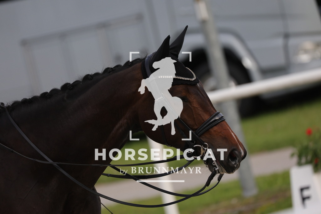 0P6A4335 | Willkommen bei Brunnmayr - Design & Fotografie – Ihrem Spezialisten für Reitturniere und Pferdeveranstaltungen in Oberösterreich, Salzburg und Bayern! Seit über 17 Jahren sind wir leidenschaftlich dabei.