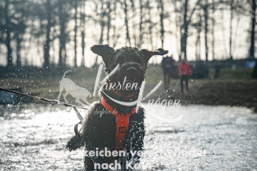 0847_ZZ98333 | kk-dogfotos