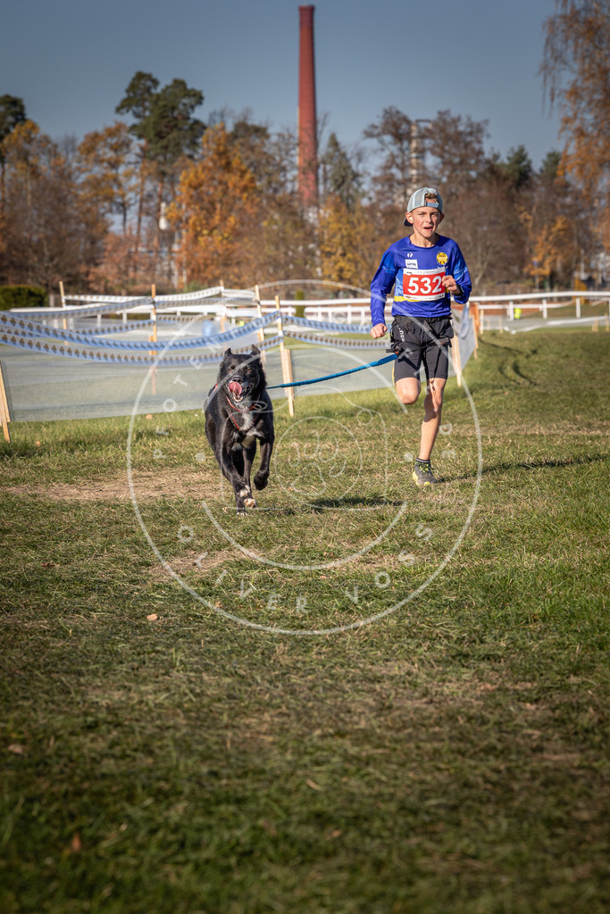 CaniXpix_0L8A7341 | Hundefotografie, Tierfotograf, Pfotenfotografie, Fotoshooting Hund, Hunde Portrait, Hundesport, Hundeportraits, Heideshooting, Hunde, Sportfotograf, Hundefotograf, Turnierhundsport, THS,  - Realisiert mit Pictrs.com