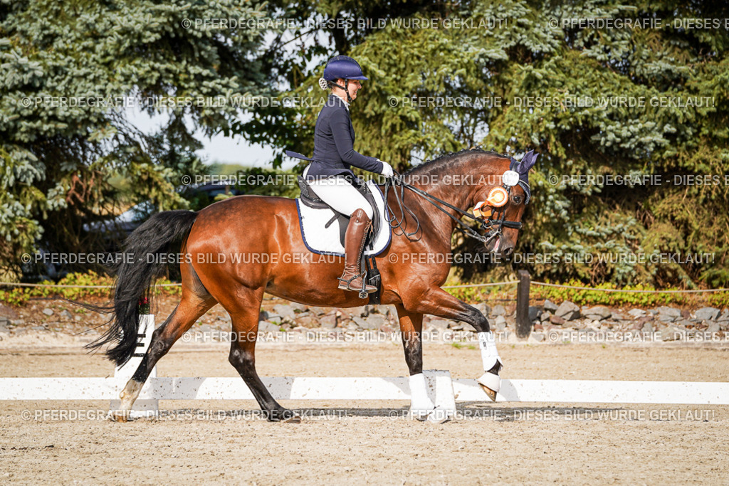 DSC07614 | Pferdegrafie