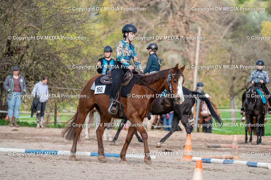 BAL02797 | dv-media-shop - Realisiert mit Pictrs.com