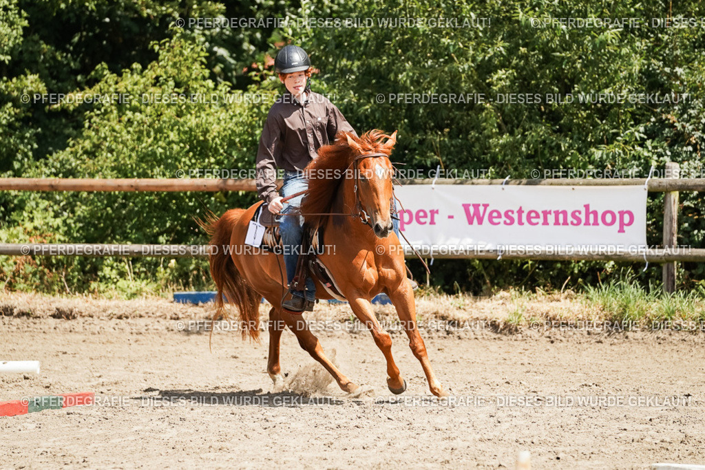 DSC07552 | Pferdegrafie