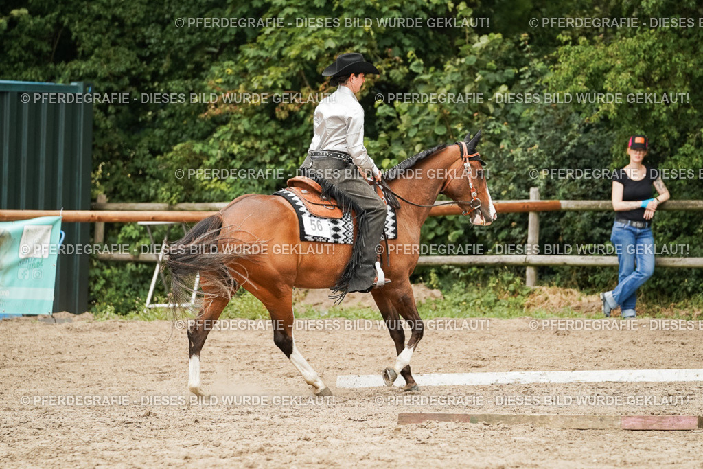 DSC08504 | Pferdegrafie