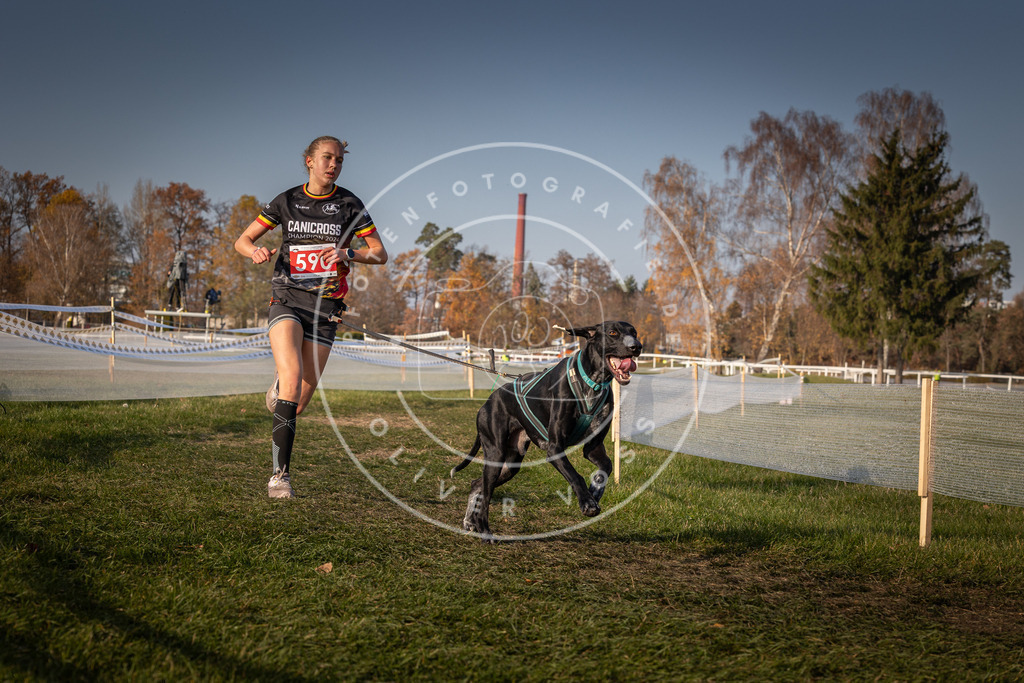 CaniXpix_0L8A9923 | Hundefotografie, Tierfotograf, Pfotenfotografie, Fotoshooting Hund, Hunde Portrait, Hundesport, Hundeportraits, Heideshooting, Hunde, Sportfotograf, Hundefotograf, Turnierhundsport, THS,  - Realisiert mit Pictrs.com