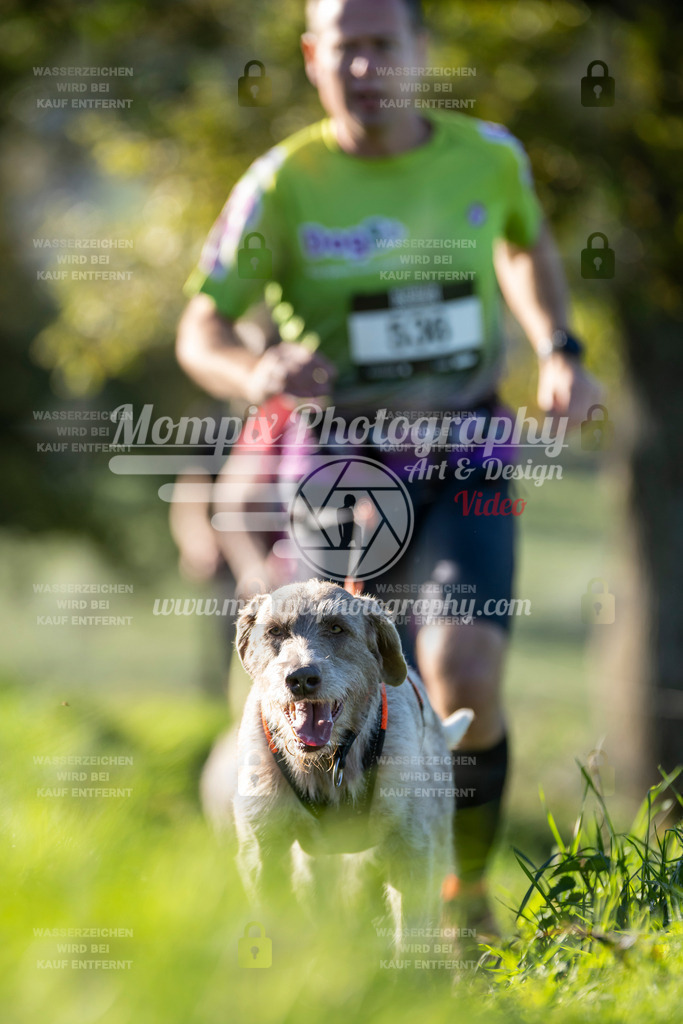 MompixPhotography_20TSB_E3_Run-83 | PayLife