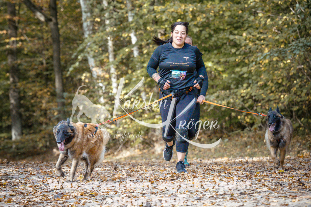 1311_ZZ97583 | kk-dogfotos