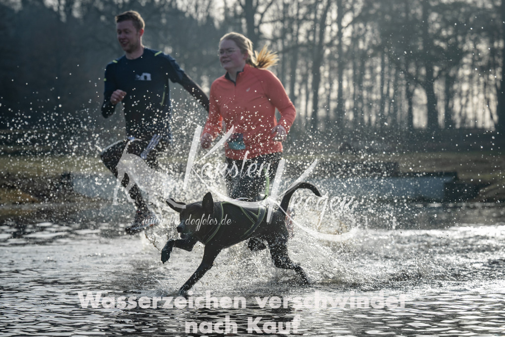 0847_ZZ98379 | kk-dogfotos