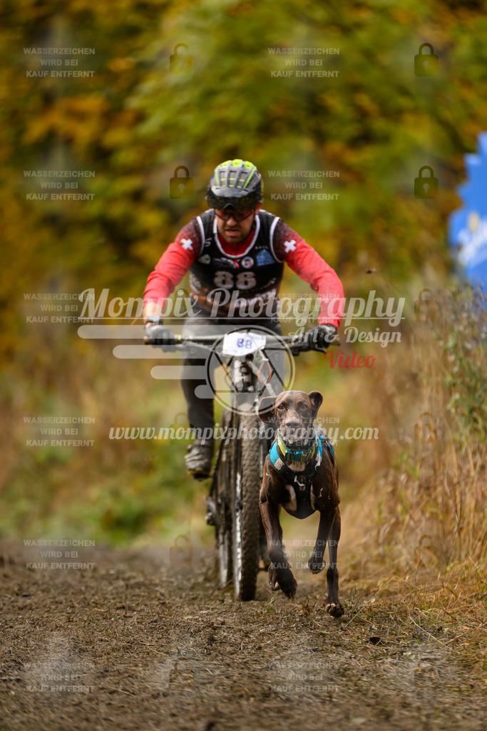 MompixPhotography_ICF_WC_2024_SA_Bike_-37 | PayLife