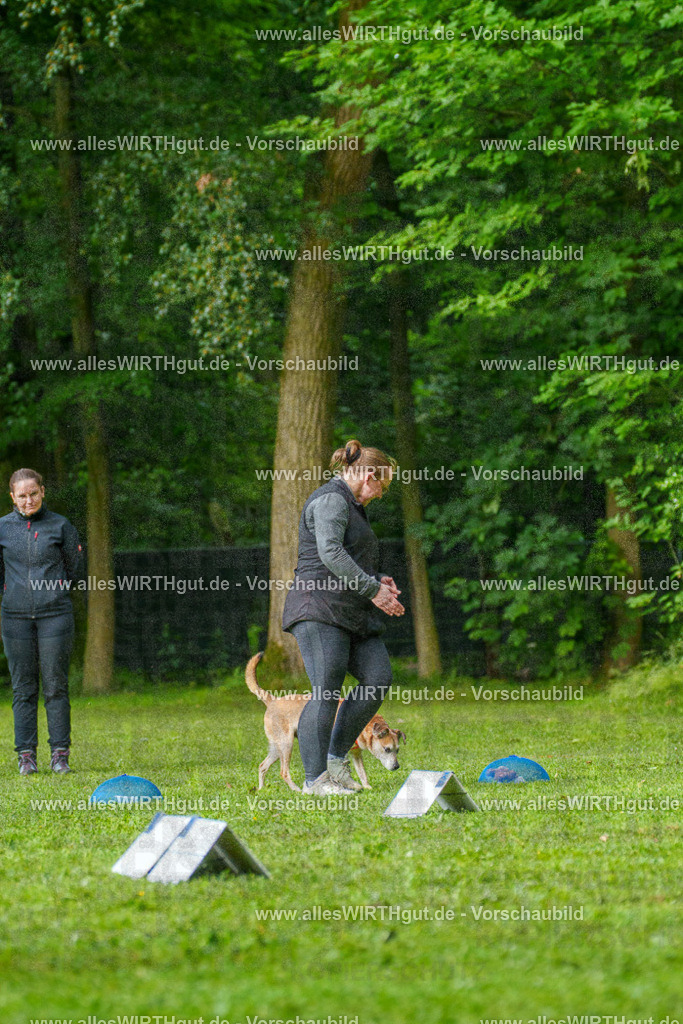 @allesWIRTHgut_Tierfotografie - www.allesWIRTHgut.de - 7R502019 | Professionelle Tierfotografie in Mönchengladbach von Daniel Wirth (allesWIRTHgut). Liebevolle & natürliche Bilder von Hunden & Katzen für unvergessliche Erinnerungen.