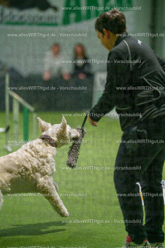 7R504330 | Professionelle Tierfotografie in Mönchengladbach von Daniel Wirth (allesWIRTHgut). Liebevolle & natürliche Bilder von Hunden & Katzen für unvergessliche Erinnerungen.