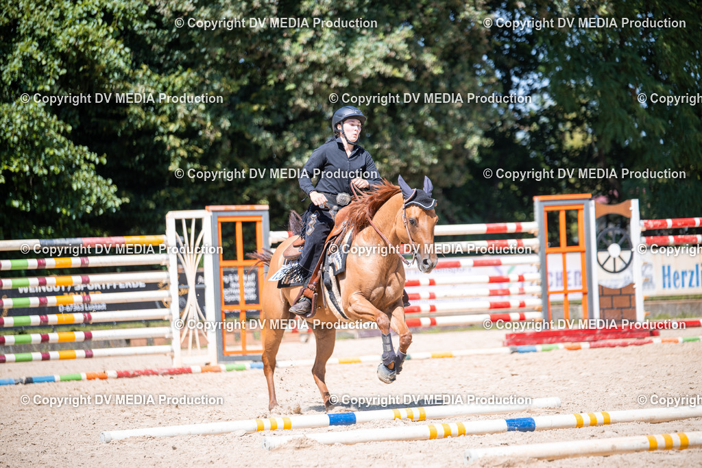 ZS1_1419 | dv-media-shop - Realisiert mit Pictrs.com