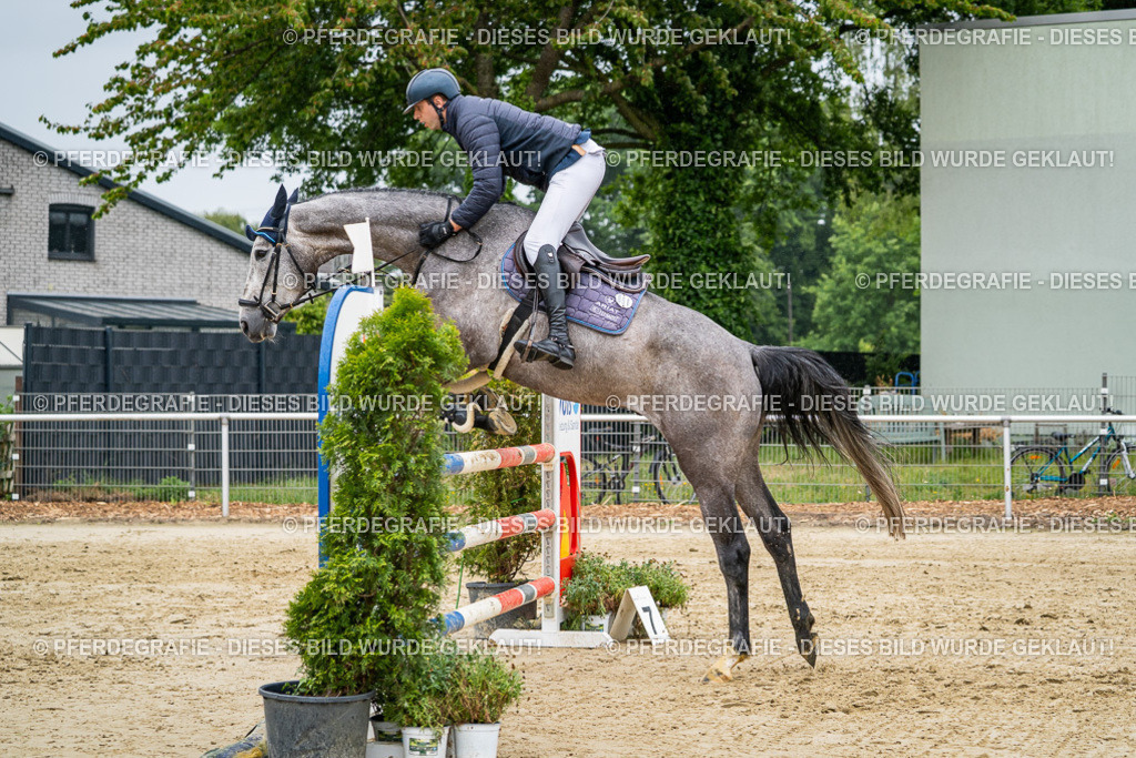 DSC02856 | Pferdegrafie