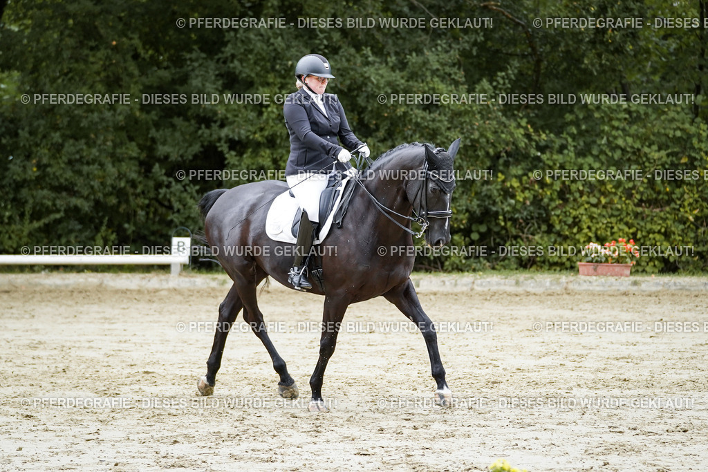 DSC09403 | Pferdegrafie