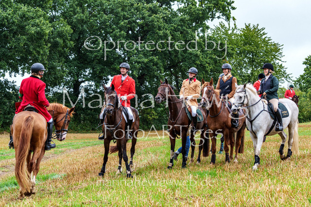 Jagd Kletkamp 26-02929_MarinaHewig | Fotografie, FotoArt, PferdesportArt, Pferdesportfotografie, Landschaftsfotografie, Reisefotografie, Reise, Pferde - Realisiert mit Pictrs.com