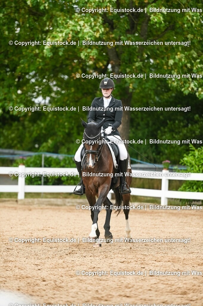 20230716_01_Dressurprüfung Kl.M_0511 | equistock