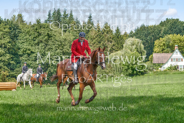 08-23 Bredeneek Jagd_MCH9495_Marina Hewig | Fotografie, FotoArt, PferdesportArt, Pferdesportfotografie, Landschaftsfotografie, Reisefotografie, Reise, Pferde - Realisiert mit Pictrs.com