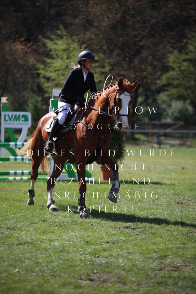 IMGT5609 | pl-fotografie