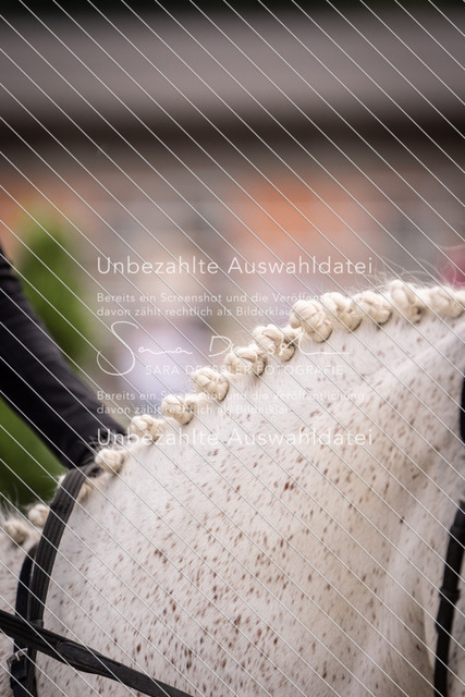 SD_OES26_08557 | saradresslerfotografie - Realisiert mit Pictrs.com
