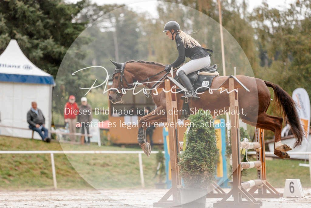 3I6A5722 | Stimmungsvolle Portraits und Reitsportfotografie im Ruhrgebiet und im Münsterland.

Pferdefotografie, Hundefotografie, Tierfotografie, Reportagen, Portraits von Tier und Mensch, Turnierfotografie in Bochum, Recklinghausen, Marl, Haltern am See, Dülmen.. - Realisiert mit Pictrs.com