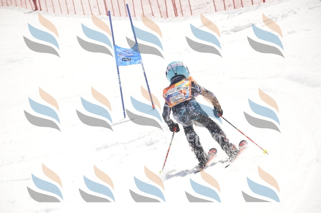 _ELE9383 | holidayphoto