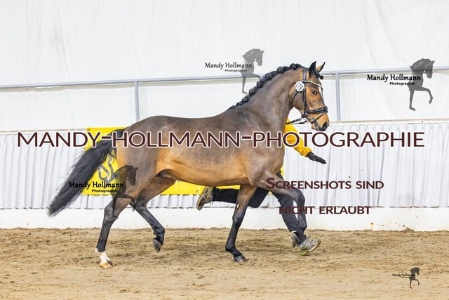 29 (38 von 45) | mandyhollmannphotographie