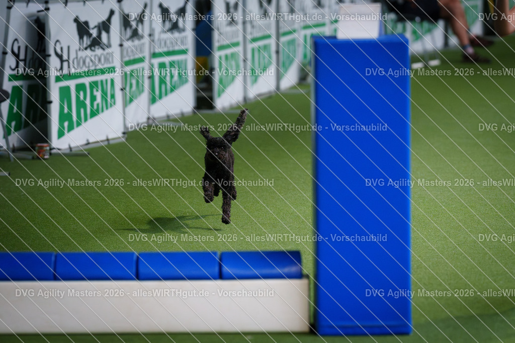 allesWIRTHgut_Tierfotografie-DVG_Agility_Masters_2026-12_34-7R508727 | Professionelle Tierfotografie in Mönchengladbach von Daniel Wirth (allesWIRTHgut). Liebevolle & natürliche Bilder von Hunden & Katzen für unvergessliche Erinnerungen.