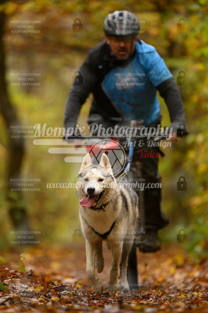 MompixPhotography_CD7S_DI_Bike-59 | mompixphotography