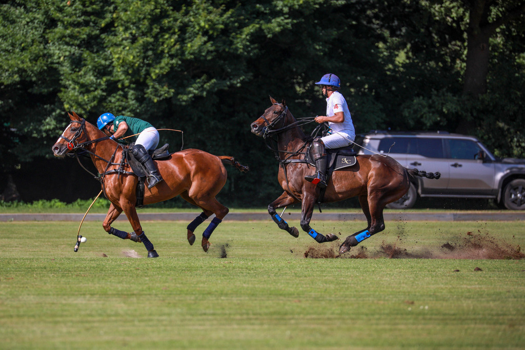 2_TigerFrontierVsGRAT_200525_008 | Bildergalerie von Sport-Ereignissen aber auch von weiteren spannenden Dingen - nicht nur vom Niederrhein. In Anlehnung an den bekannten Spruch von Hanns Dieter Hüsch heißt das Motto: "Niederrhein ist überall".  - Realisiert mit Pictrs.com