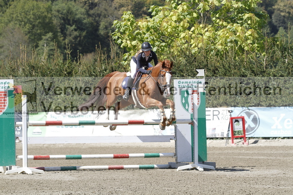 _MG_6197 | equestrian-live-com