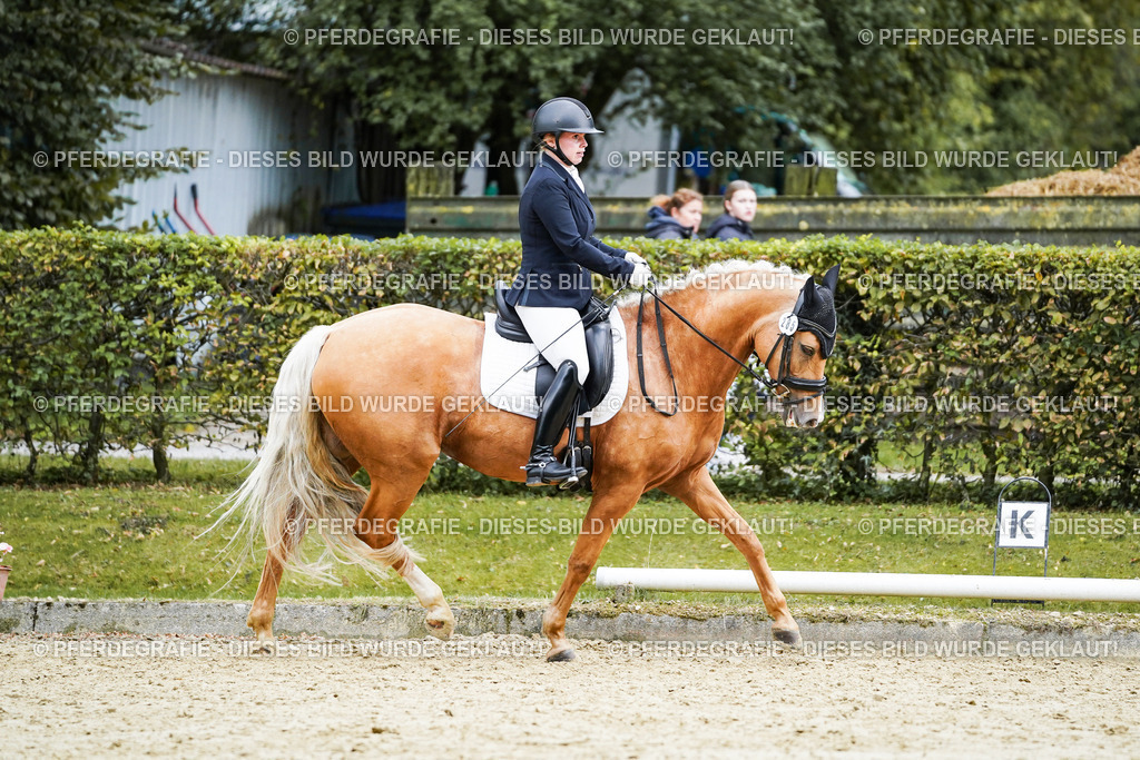 DSC00693 | Pferdegrafie