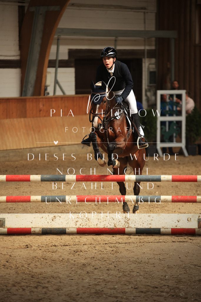 IMGT9645 | pl-fotografie